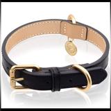 Urban Outfitters Dog | Black Leather Double D-Rings Dog Collar- Size Medium- Collar 12" - 16" Neck | Color: Black/Gold | Size: Collar 12" - 16" Neck