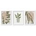 Bay Isle Home™ Modern Eucalyptus Leaves - 3 Piece Picture Frame Graphic Art Set on Wood in Brown/Green/White | Wayfair