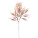 Primrue 2 - Piece Artificial Reed Plant Set Plastic | 33 H x 7.87 W x 3.94 D in | Wayfair D0394257CB154512924CF1C647CB9A05