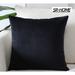 Everly Quinn Velvet Throw Square Pillow Cover Velvet | 16 H x 16 W in | Wayfair 0F2F552E6C2143F1BF4E6F7C265254F7