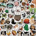 10/50pcs 3D Stickers Muraux Chat Football Vintage Pour Enfants Voiture Décor Jouet Vélo Moto