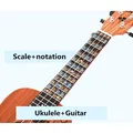 Autocollant de notes pour guitare Ukulele touche échelle Notation pièces de guitare débutant