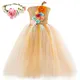 Robe Tutu à Fleurs avec Couronne pour Fille de 1 à 14 Ans Tenue de Princesse en Tulle pour ixde