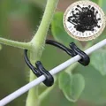 Clips Attachés de Vignes pour Plantes de Jardin Outil d'arrimage Support de Greffe de Légumes 50