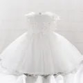 Robe de baptême blanche pour bébé fille de 12M tenue de bal à fleurs appliquées en Tulle pour