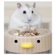 Bols en bois pour Hamster et canard jaune 2 pièces conception sans retournement sur