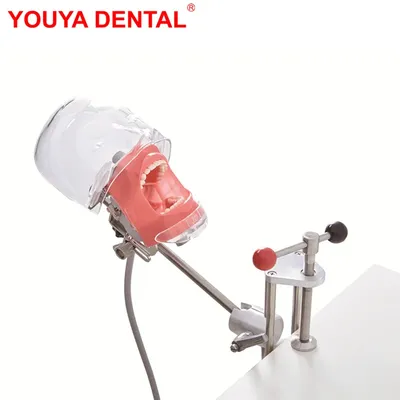 Simulateur dentaire de modèle de tête générateurs de fantôme de mannequin modèle de dents de