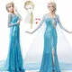 Costume de Bal de la Reine des Neiges Elsa pour Femme Adulte Robe de Soirée Cosplay de Barrage et