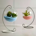 Vase en verre transparent pour plantes à fleurs Pot rond suspendu pour Terrarium décoration de