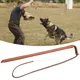 Professional Dog Training Agitation Whip Aggressive Pets Obedience Entertainment Agility Training