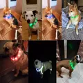 Collier LED aste USB pour animaux de compagnie tube de charge clignotant collier de chien de