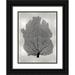 Miller Melonie 25x32 Black Ornate Wood Framed with Double Matting Museum Art Print Titled - Sea Fan Black on Silver I