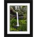 Restuccia Joe III 13x18 Black Ornate Wood Framed with Double Matting Museum Art Print Titled - USA-Oregon-Silver Falls State Park-South Falls