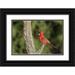 Kaveney Wendy 18x13 Black Ornate Wood Framed with Double Matting Museum Art Print Titled - Arizona Amado Northern cardinal on dead tree