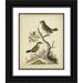 Edwards George 20x24 Black Ornate Wood Framed with Double Matting Museum Art Print Titled - Edwards Bird Pairs VII
