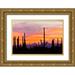 Illg Cathy and Gordon 32x23 Gold Ornate Wood Framed with Double Matting Museum Art Print Titled - AZ Sonoran Desert Saguaro cactus at sunset