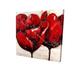 Red Tulips Closeup - 12X12 Print On Canvas in Black/Brown/Red Begin Edition International Inc | 12 H x 12 W x 1.5 D in | Wayfair 2080-1212-FL86