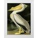 Audubon John James 14x18 White Modern Wood Framed Museum Art Print Titled - American White Pelican
