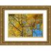 Ostrowitz Mallorie 18x13 Gold Ornate Wood Framed with Double Matting Museum Art Print Titled - Aspens on the Tom Blake Trail-Colorado