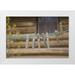 Paulson Don 18x13 White Modern Wood Framed Museum Art Print Titled - MT Clothes pins on a clothesline by a log cabin