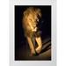 Jaynes Gallery 17x24 White Modern Wood Framed Museum Art Print Titled - South Africa-Sabi Sabi Private Reserve Abstract of male lion walking