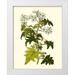 Unknown 12x14 White Modern Wood Framed Museum Art Print Titled - Olive Greenery VI