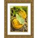 Horton Janet 13x18 Gold Ornate Wood Framed with Double Matting Museum Art Print Titled - Issaquah-Washington State-USA Kakai pumpkins growing in a garden