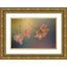 Jaynes Gallery 14x11 Gold Ornate Wood Framed with Double Matting Museum Art Print Titled - USA-Washington State-Seabeck Vine maple leaves on branch in autumn