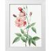 Redoute Pierre Joseph 19x24 White Modern Wood Framed Museum Art Print Titled - Old Blush China Common Rose of India Rosa Indica Vulgaris