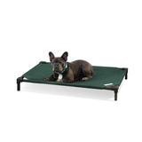 Coolaroo Elevated Pet Cot Polyester in Green | 5 H x 27.5 W x 41 D in | Wayfair 501365