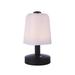 Craftmade Rechargable Led Portable 9 Inch Table Lamp - 86277R-LED