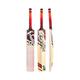 KOOKABURRA Beast 9.1 Cricket Bat - h, Red/Yellow