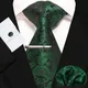 Ensemble de pinces à cravate Paisley bleu vert pour hommes 8cm de large en soie avec poches