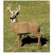 Field Logic GlenDel Full Rut Buck Target