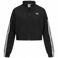 adidas Originals Cropped Damen Windbreaker FU3859