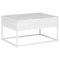 Signature Design by Ashley Deznee Lift Top Extendable Frame Coffee Table w/ Storage Wood/Metal in Brown/White | Wayfair T162-9