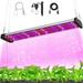 DONGPAI LED Grow Light Bars Full Spectrum LED Plant Growing Lamp 58/96/120/196LEDs with Pull Chain Switch for Veg Greenhouse Micro Greens And Flower Clones Succulents Seedlings