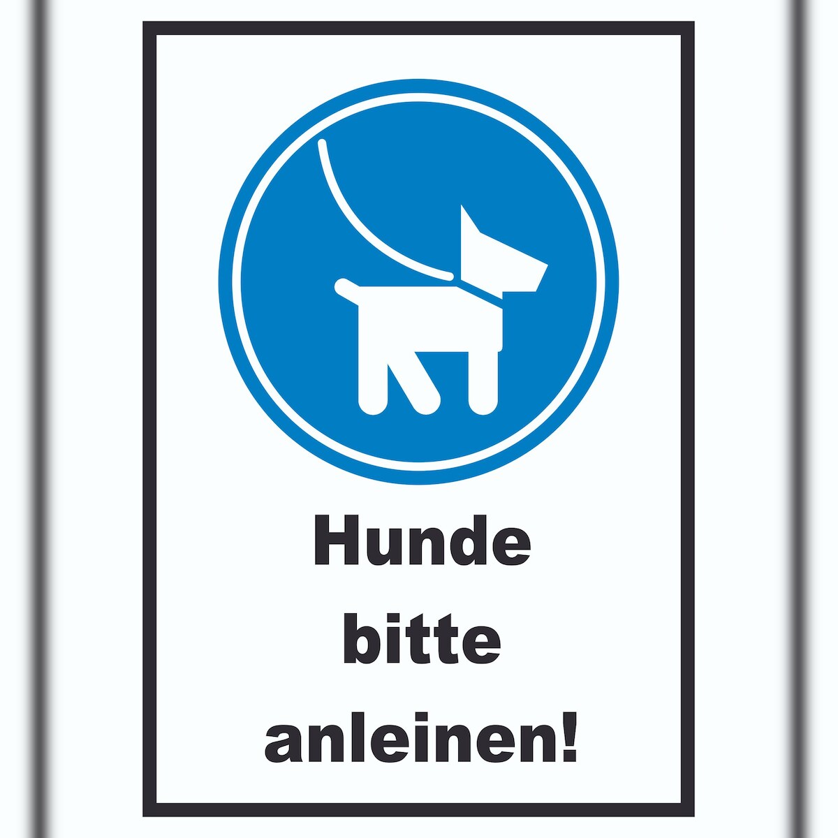 Hunde bitte anleinen Schild A1 Rückseite selbstklebend Image