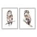 Stupell Industries Perched Owl Wildlife Portrait Painting Gray Framed Art Print Wall Art Set of 2 Design by Annie Warren