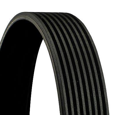 CONTINENTAL CTAM Keilrippenriemen Universal 8PK1015 Image