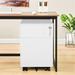 2 Drawer Mobile File Cabinet Lock Metal Filing Cabinet Include Wheel