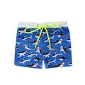 Bagilaanoe Toddler Baby Boys Swim Trunk Printed Swimwear 6M 12M 2T 3T 4T 5T 6T Kids Summer Drawing Elastic Swimming Shorts