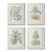 Stupell Industries Botanical Herb Latin Studies 4 Pc Canvas Wall Art Set By Vision Studio Canvas in Brown/Green | 28 H x 22 W x 1.5 D in | Wayfair