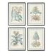 Stupell Industries Botanical Herb Latin Studies 4 Pc Giclee Art Set By Vision Studio Canvas in Green | 14 H x 11 W x 1.5 D in | Wayfair