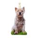 West Highland Terrier Kitchen Roll Holder - Westies West Highland Terriers Westie Gift - Westie Kitchen Roll Holder D12b