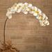 5' Large Phalaenopsis Orchid Artificial Flower (Set of 2) - 5