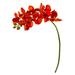 21" Phalaenopsis Orchid Artificial Flower (Set of 6) - 21