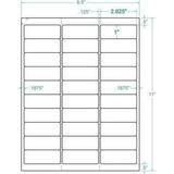 Compulabel 310950 White Address Removable Adhesive FAB Labels for Laser and Inkjet Printers 2 5/8 x 1 Inch 30 per Sheet 100 Sheets per Carton