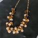 J. Crew Jewelry | J. Crew Tortoise Necklace | Color: Brown/Gold | Size: Os