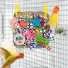 Balançoire en forme d'oiseau à cinq branches jouet coloré perroquet sûr